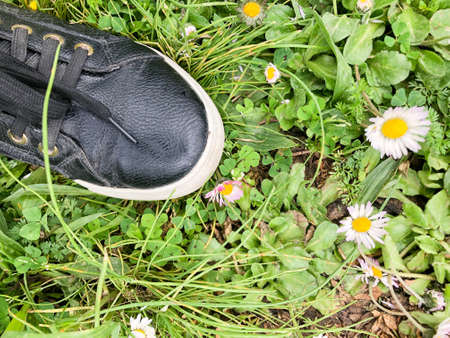 the foot that crushes the flowers and grass in the gardenの写真素材