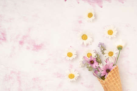 spring flowers in a waffle ice cream cone on a pink background with copy space. Flat lay spring conceptの写真素材