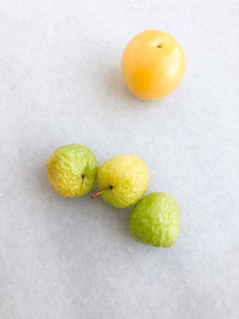 a ripe and some dried plum fruits on the table with copy spaceの写真素材