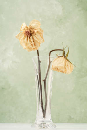 closeup two dried rose flowers in a glass vase on table over soft green background with copy spaceの写真素材