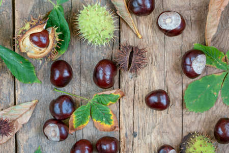 autumn background with raw horse chestnuts and dried leaves on the wooden table