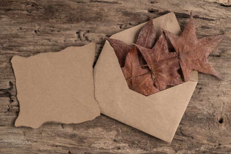 an envelope and blank note paper with copy space on a wooden table decorated with dried autumn leavesの写真素材