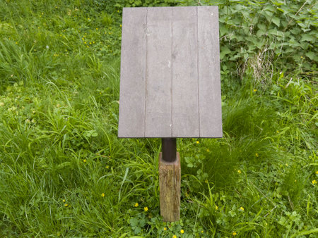board, blank or empty wooden notice board with copy space on a grass in a garden or park. wooden background or surface for mockup of a poster or message.の写真素材