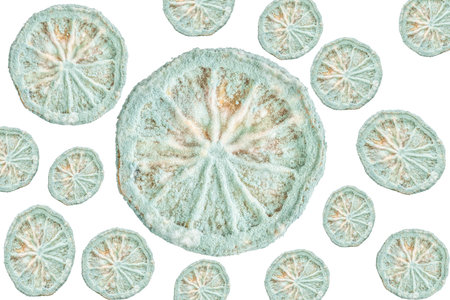 moldy fruit, slice of lemon or citrus fruits spoiled by mold. Isolated moldy unspoiled section of lemon or orange fruits on white. bad unhealthy food concept background photo isolated on whiteの写真素材