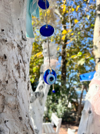 evil eye beads, blue evil eye beads hanged on white colored tree in spring or summer in Turkey. superstitions for good luck and protection from bad evil in Turkeyの写真素材