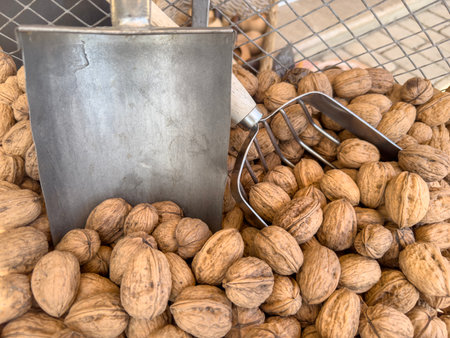 nuts, heap of walnut at market with blank or empty label or tag. delicious and healthy dried fruit at farmers market. walnut with blank label. scoop of dried fruit to sell. healthy food backgroundの写真素材