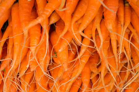 Baby Carrotの写真素材