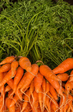 Baby Carrotの写真素材