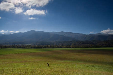 Cades Cove National Park in summer Smokey mountain national parkの写真素材