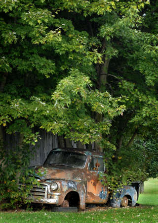 A tree grows through the bed of a truck in Wears Valley, Tennessee. の写真素材