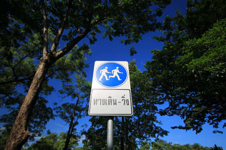 view in the park
