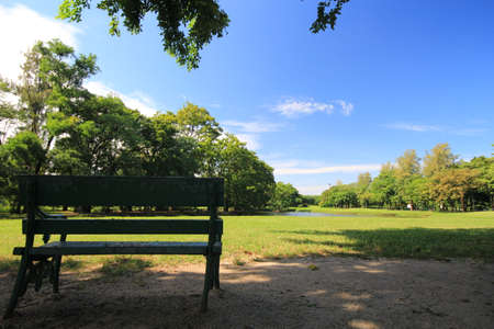 view in the park