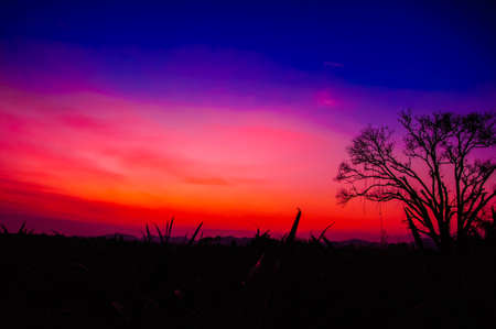 Twilight at Amata City ,Rayong Thailand.の写真素材