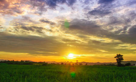 corn field and sky with beautiful clouds of Thailand.の写真素材