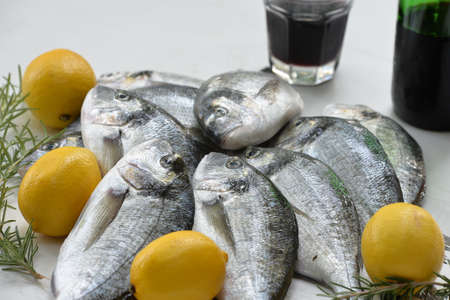 sea bream