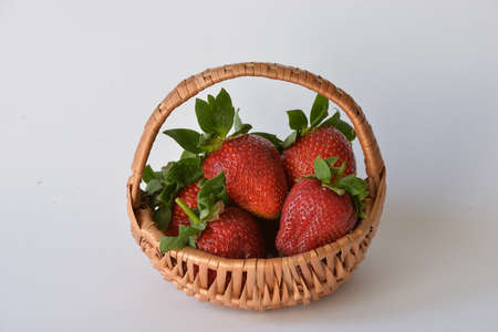 strawberry 8の写真素材