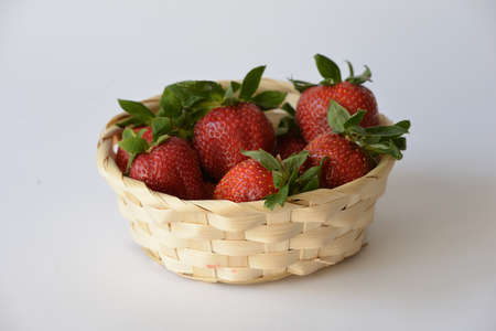 strawberry 17の写真素材