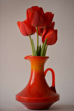 tulip 3の写真素材