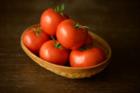 tomatoes 4の写真素材