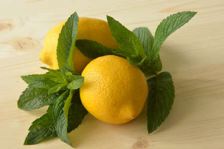 lemon mint 3の写真素材