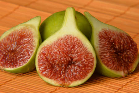 figの写真素材