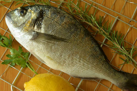 sea bream on the tableの写真素材