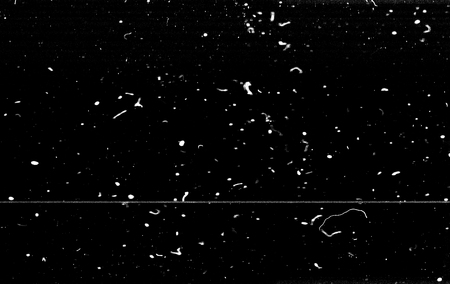 White dust and scratches on black background - layer for photo editor. Horizontal photo.の写真素材