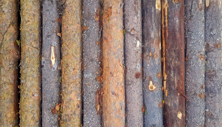 Vertical Wood log background textured pattern plank wall.の写真素材