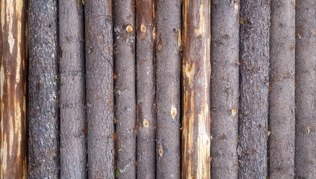 Wood log background textured pattern plank wall.の写真素材