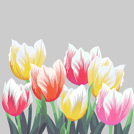 Tulips. Color vector tulips isolated on grey background. Flowers in different shapes for your design and greetings, postcards card for your loved onesのイラスト素材