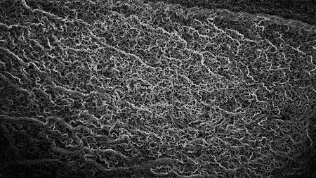Mystical background, interlacing of white and black threads, bwの写真素材