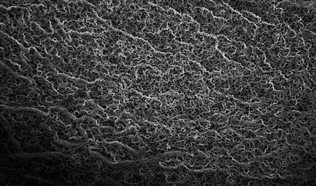 Mystical background, interlacing of white and black threads, bwの写真素材
