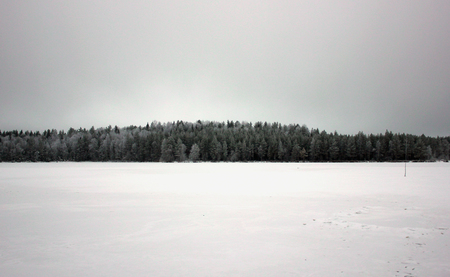 Winter beautiful landscape with trees covered with hoarfrost. White snow and ice on lake field and frost on forest trees at coastの写真素材