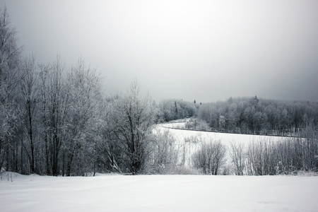 Frosrty day. Winter landscape with empty rail tracks View of the winding railway in forestの写真素材