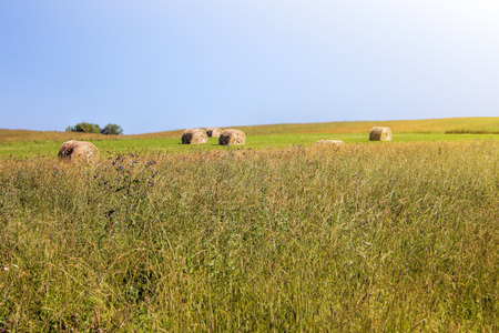 Twisted yellow haystack on agriculture field landscape, backgroundの写真素材
