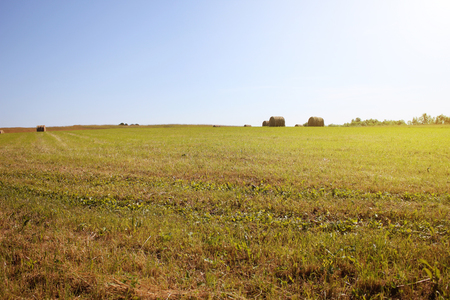 Twisted yellow haystack on agriculture field landscape, backgroundの写真素材