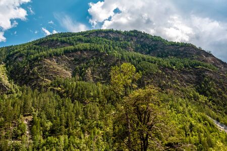 View of rock mountain rock cliff with forestの写真素材