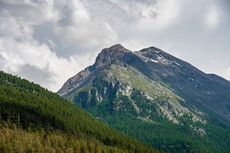 Pine tree forest on a steep slope in the Swiss Alps. Picturesque and majestic sceneの写真素材