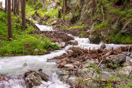Mountain river flowing through the green forest. Stream in the woodの写真素材