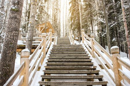 Beautiful winter landscape. A view of the stairs in the park or forest. Wooden staircase in the park in winter, around everything in the snowの写真素材