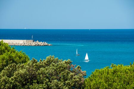 Idyllic sea view of the Mediterranean Sea Italy. Foreground green treetops. Breakwater Concrete...