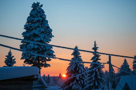 Beautiful sunset in a winter forest, snow trees.の写真素材