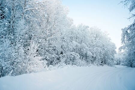 Beautiful fabulous winter landscape: the road going through the forest, everything is covered with snow.の写真素材