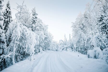 Beautiful fabulous winter landscape: the road going through the forest, everything is covered with snow.の写真素材