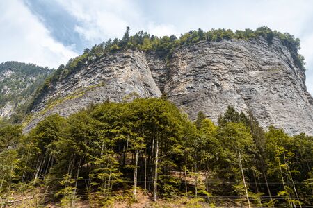 View of rock mountain rock cliff with forestの写真素材