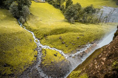 Landscape with clear spring water stream among thick moss and grassの写真素材