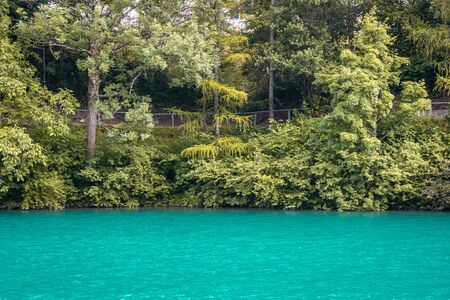 View over the Lake Lungern. Lungernsee is a natural lake in Obwalden. Beauty of nature concept backgroundの写真素材