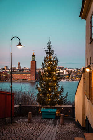 Tree decorated with a garland. View from Sodermalm - Stockholm districtの写真素材