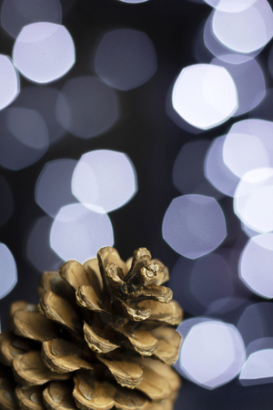 Brown pine cone with light bokeh backgroundの写真素材