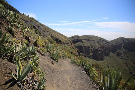 a trekking path surrounded by mountains and vegetation on a sunny dayの写真素材